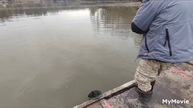 Смотреть Всем до конца, Красногорск смотреть онлайн