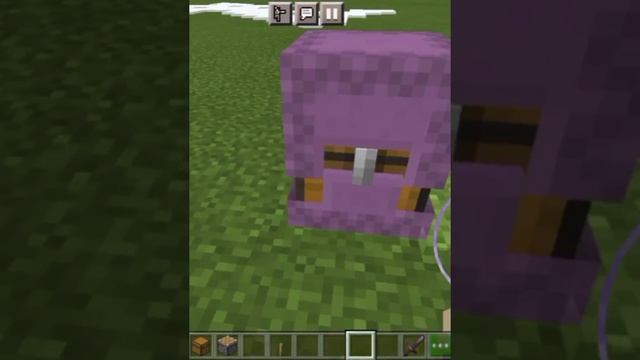 Сундук в шалкере Minecraft #shorts
