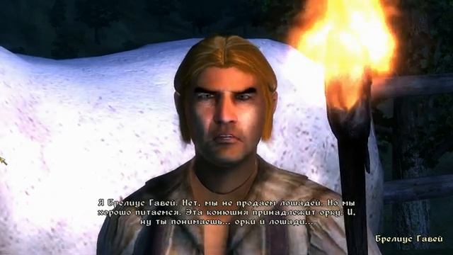 The Elder Scrolls IV: Oblivion Game of the Year Edition Прохождение 47. Рекомендация от Бравила смотреть онлайн