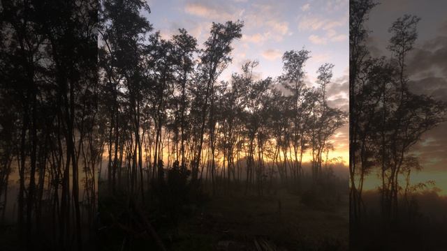 Miniatura No IX смотреть онлайн