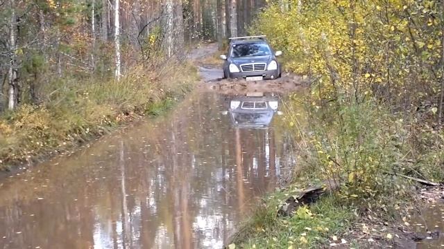 Рекс в лесу.mp4 смотреть онлайн