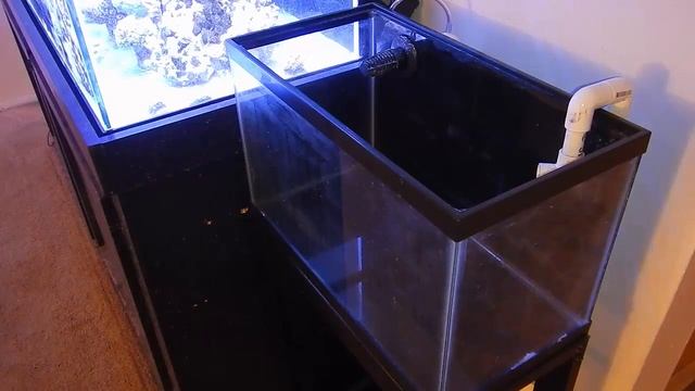 What Should I Do With The Old Frag Tank? смотреть онлайн
