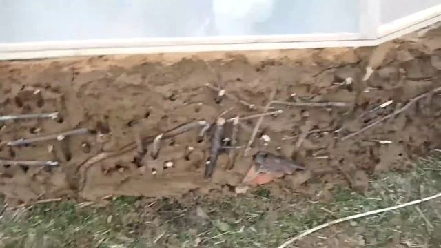 Купольная теплица, геодезический купол, kuppelgewächshaus, geodätische Kuppel Teil 4 смотреть онлайн