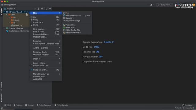STEMEncounters Online PythonCourse | An Introduction to Python смотреть онлайн