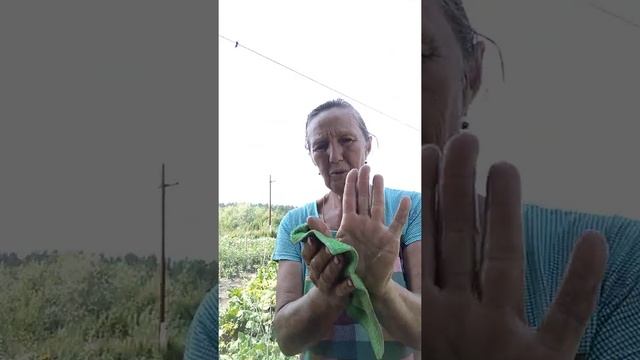 Помыть руки без мыла и химии смотреть онлайн
