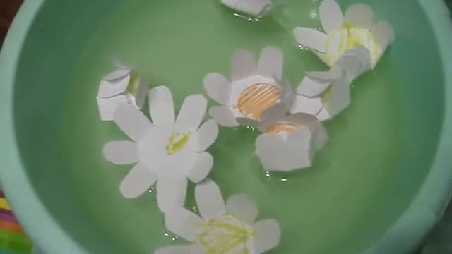 Бумажные ромашки распускаются в воде. смотреть онлайн