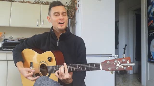 The lady loves me - Tribute to Elvis Presley (guitar chords in description) смотреть онлайн