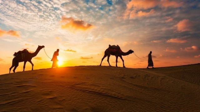 Шейх Яхья | Салам даларх, ишт кхи дlа мунафикъ нахах лаьцна. смотреть онлайн