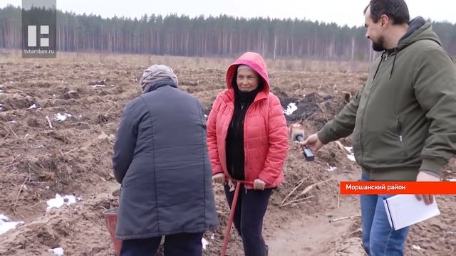 Посадить 1 млн саженцев сосны менее чем за 3 недели планируют лесоводы из Тамбовской области смотреть онлайн