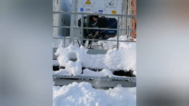 ОМС, Сабетта