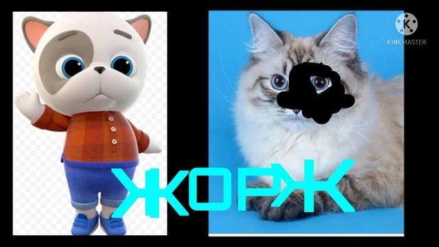 кошечки собачки в реальной жизни смотреть онлайн