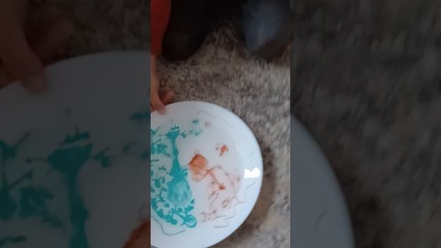 colour war:part 1 смотреть онлайн