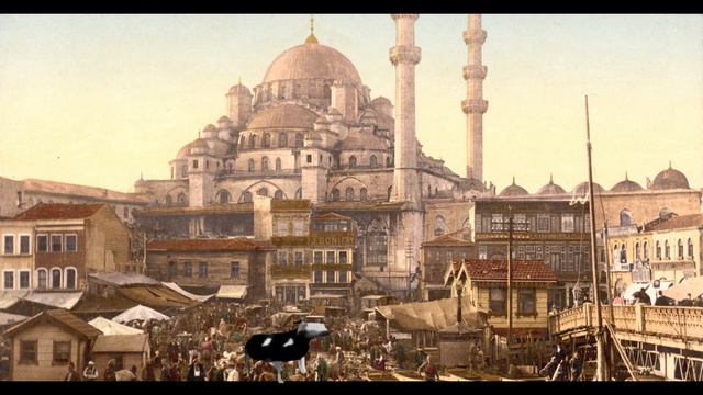 Польская корова познала историю мира. смотреть онлайн