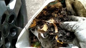 Чистка дренажа под жабо Skoda Fabia 1 | Fix My Car