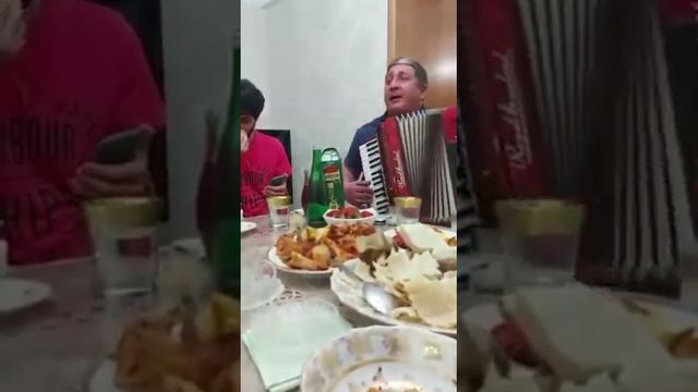 Мошная аварская песня На Гармошке🪗@djivoigolos смотреть онлайн