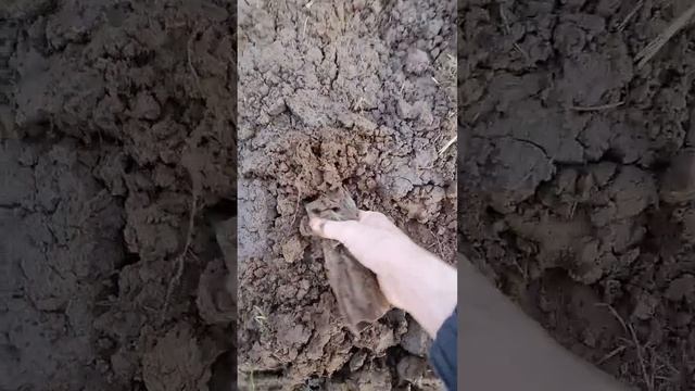 Strange finding смотреть онлайн