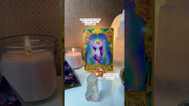 ✨This is your Sign from the Angels✨ #angels #asktheangels #oracle #oraclecards #oraclereading смотреть онлайн