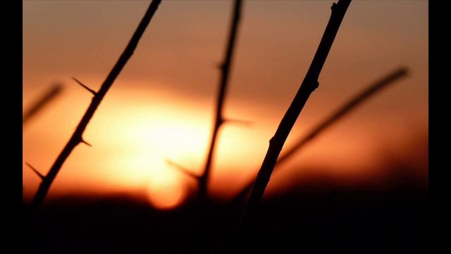 Matt Darey Feat. Kate Louise Smith - Crown Of Thorns (Aurosonic Progressive Remix) смотреть онлайн