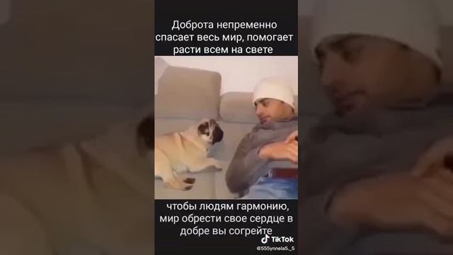 Планете необходимо потепление сердец! смотреть онлайн