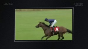 Why Horse Semen Is The World’s Most Expensive Liquid | So Expensive