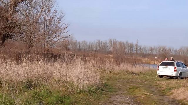 Прогулка в декабре,пруд, звуки природы, воробьи, вертолёт... 🏞 смотреть онлайн
