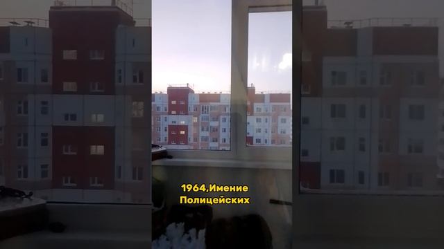 зачем ему смотреть? ТГ:ПОЛИЦП смотреть онлайн