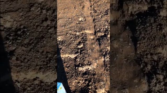 Посадка дыни. 1 часть #дыни #сочныедыни #огород #природа #грядка #огородкруглыйгод #посадкаогорода смотреть онлайн