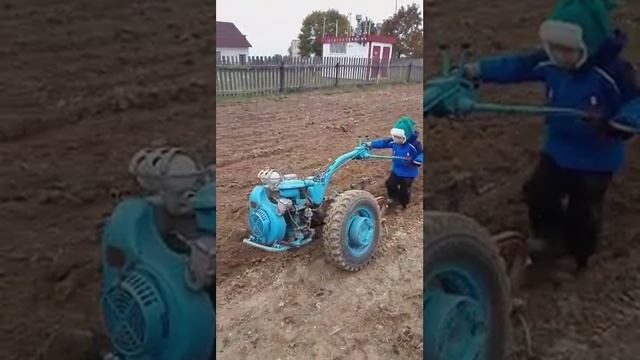 Пахарь. Мотоблоком МТЗ-05. смотреть онлайн