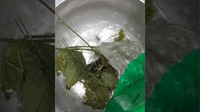 #рецепт/огурцы и патиссоны/на зиму/ без стерилизации/ смотреть онлайн