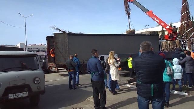 Новости. Аллея. г.Нефтекамск. смотреть онлайн