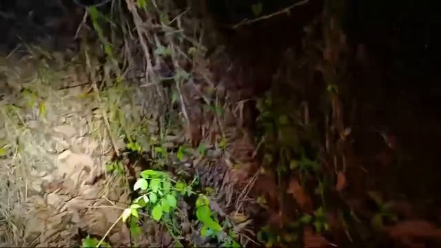 MALAM PENUNTASAN LOKASI BANYAKNYA SOSOK TUYUL смотреть онлайн