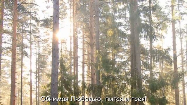 САТТВА ЛЕСА-2, (HD full) смотреть онлайн