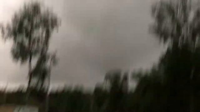 Дементоры и одногрупники смотреть онлайн