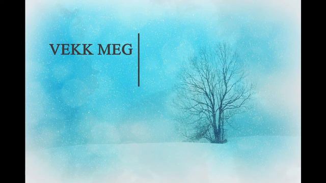 VekkMeg - VekkMegNårAltErOver смотреть онлайн