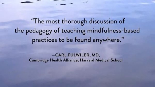 Mindfulness-Based Stress Reduction — Book Trailer