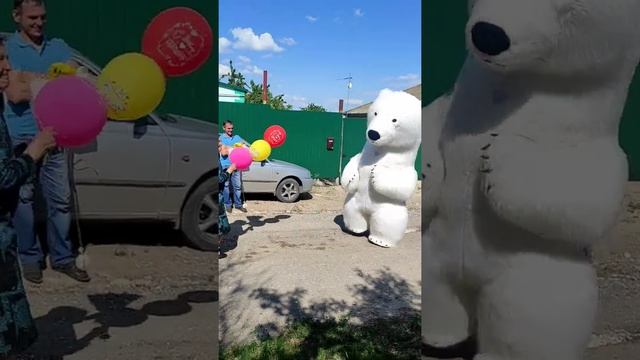 Поздравление от любимых детей! Поздравление от белого медведя смотреть онлайн