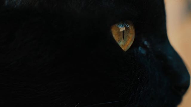 Best 2023 4K HDR 120FPS Dolby Vision