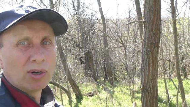 ПРИШЛОСЬ РАСКОПАТЬ ЦАРСКИЙ ПОГРЕБ, ЧТОБЫ ДОСТАТЬ КЛАД! Коп с RUTUS ALTER 71 Тест прибора! смотреть онлайн