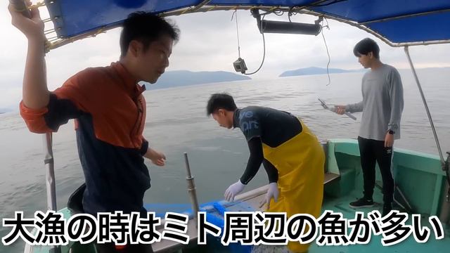 【マダイ150kg】不漁で恥ずかしいので絶対に見ないでください。 смотреть онлайн