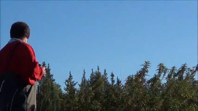 При охоте на севере Канады иногда попадается разная трава смотреть онлайн