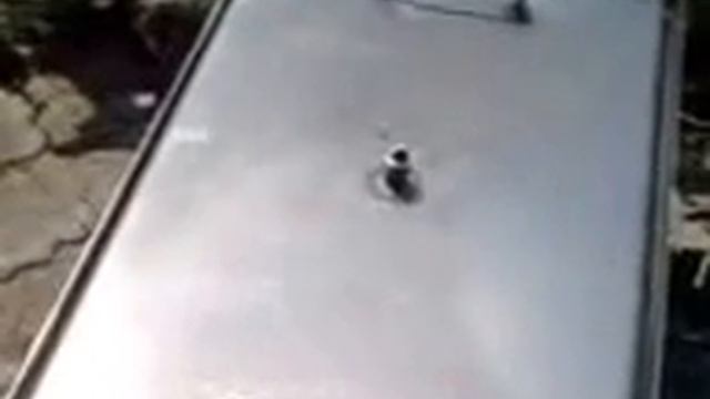 Копчение - Окорочка и Рыба смотреть онлайн