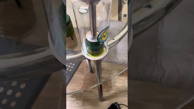 Вакуумирование банок с песто из базилика смотреть онлайн