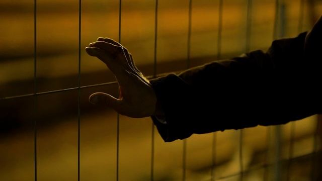 Сильный стих о действительности "Умирала в людях доброта"Михаил Сухорученко.Читает Андрей Лукашенко смотреть онлайн