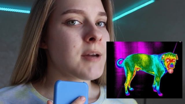 ПОЧЕМУ У СОБАК МОКРЫЙ НОС? смотреть онлайн