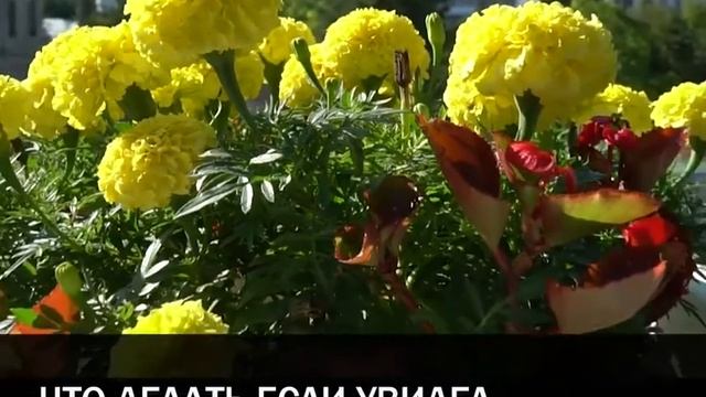 Что делать если приснился плохой сон смотреть онлайн