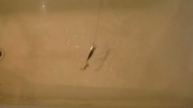 Айс-джиг. Силикон подо льдом. Часть 1