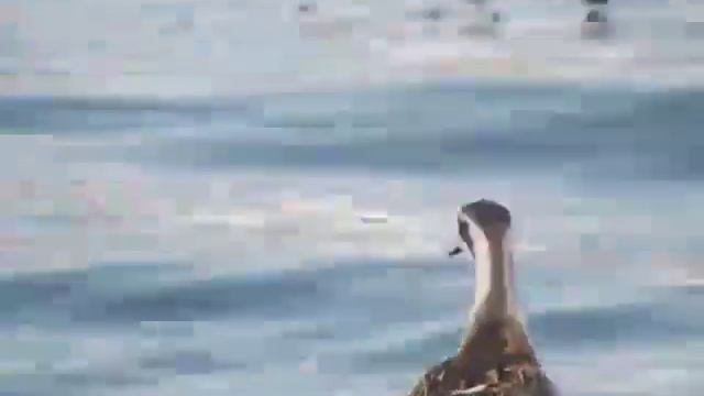 Природа в Объективе