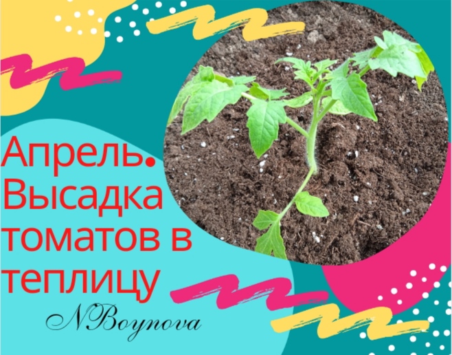 Апрель. Высадка томатов в теплицу смотреть онлайн