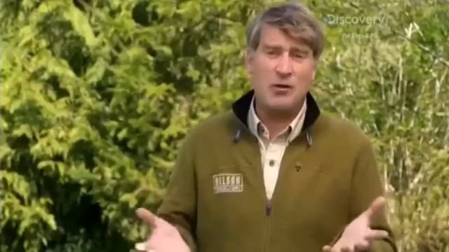 Заставка для передачи Дома на деревьях! смотреть онлайн