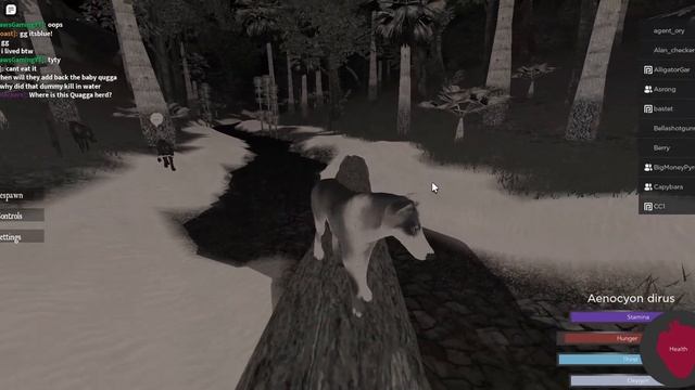 Wolf Gameplay Cenozoic Survival Roblox смотреть онлайн